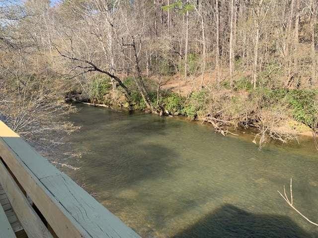 789 N Falling Waters Dr N, Demorest, GA 30535 - view of yard