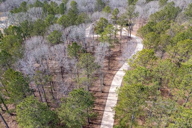 975 Blalock Lakes Dr, Newnan, GA 30263 - drone / aerial view featuring a forest view