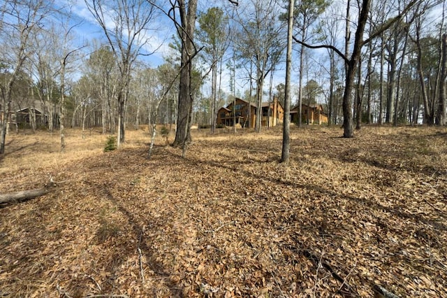 975 Blalock Lakes Dr, Newnan, GA 30263 - view of yard