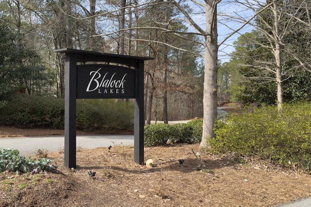 975 Blalock Lakes Dr, Newnan, GA 30263 - view of community / neighborhood sign