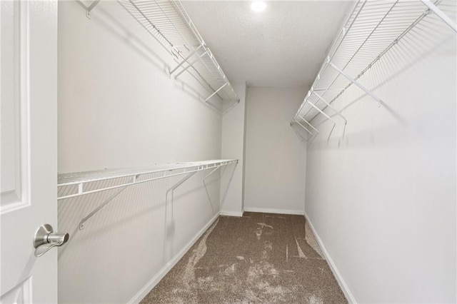 605 Alstonefield Dr, Alpharetta, GA 30004 - walk in closet featuring carpet