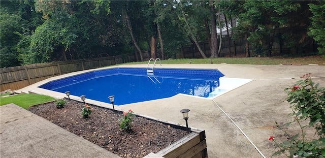 view of swimming pool with a fenced in pool, a fenced backyard, and a patio area