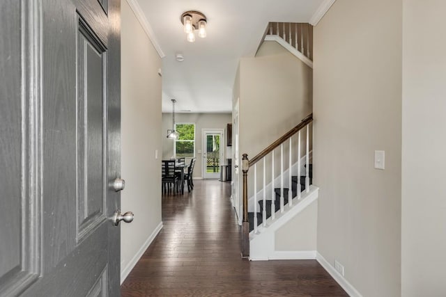 foyer entrance featuring crown molding and dark hardwood / wood-style floors