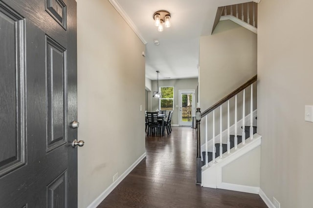 foyer entrance with dark hardwood / wood-style flooring and crown molding