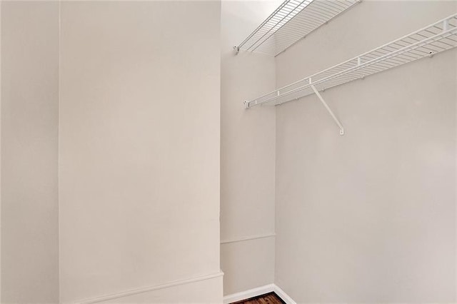 spacious closet featuring hardwood / wood-style flooring