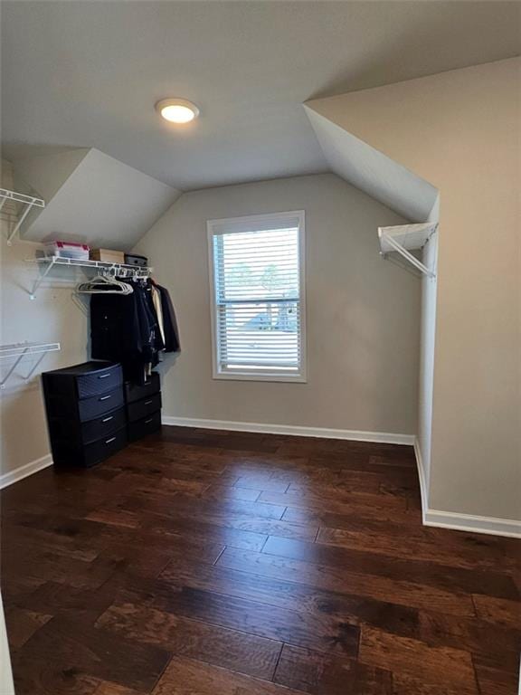 spacious closet with lofted ceiling and dark wood-style floors