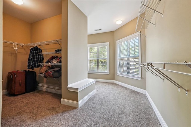 walk in closet with visible vents and carpet flooring