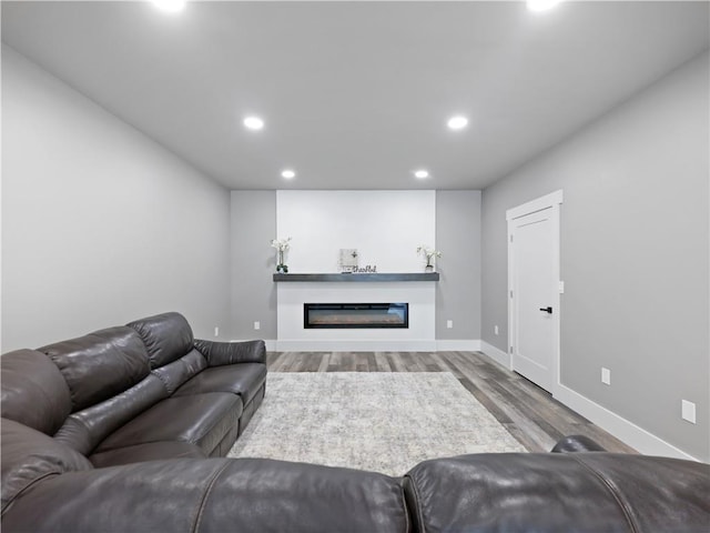 living room with hardwood / wood-style flooring