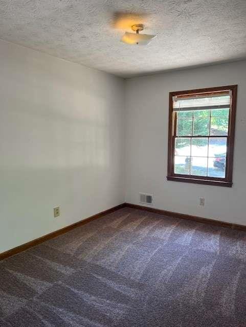 empty room featuring a textured ceiling and carpet