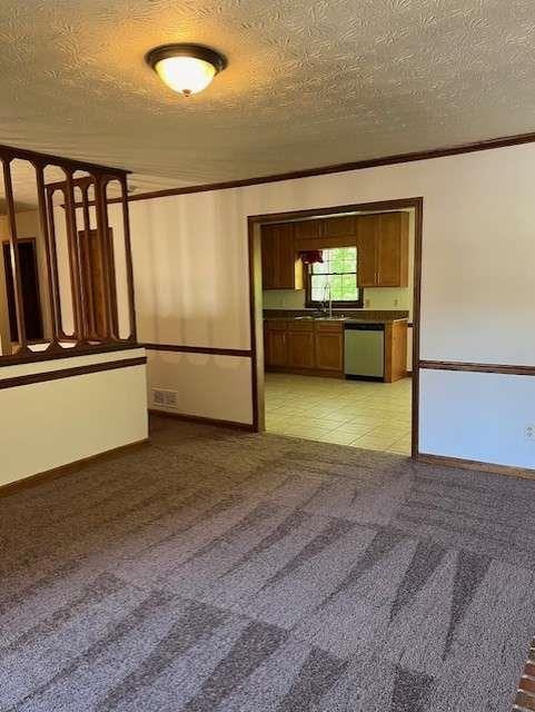 unfurnished room with light carpet, sink, ornamental molding, and a textured ceiling