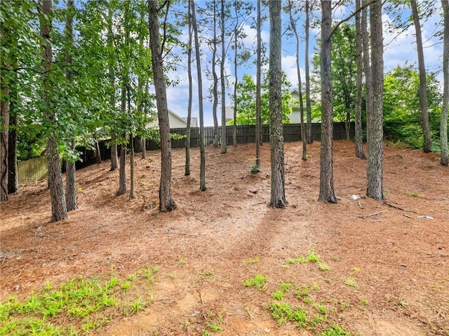 3515 Mcclure Woods Dr, Duluth, GA 30096 - view of undeveloped land