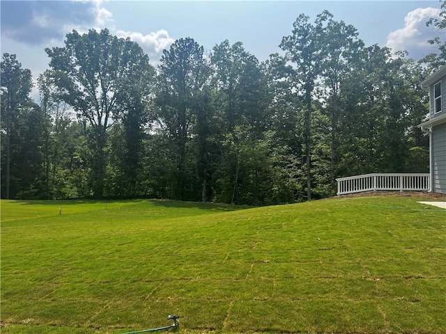 280 River Run Dr, Dallas, GA 30132 - view of green lawn