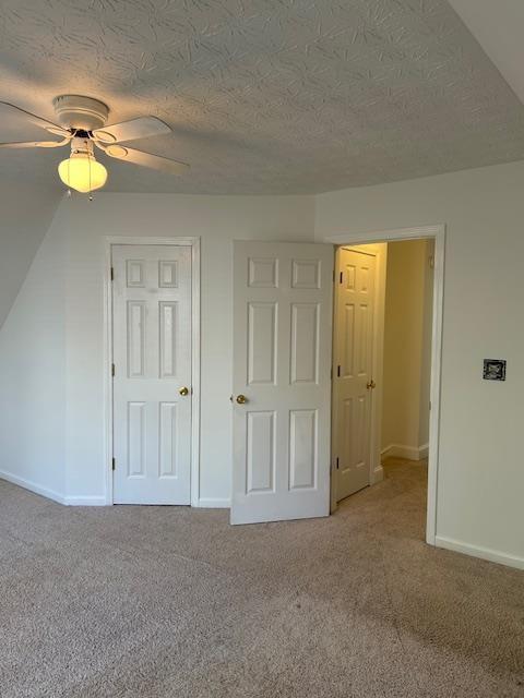 spacious closet featuring light carpet