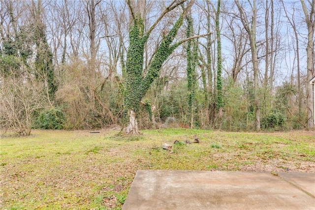 view of yard featuring a patio area