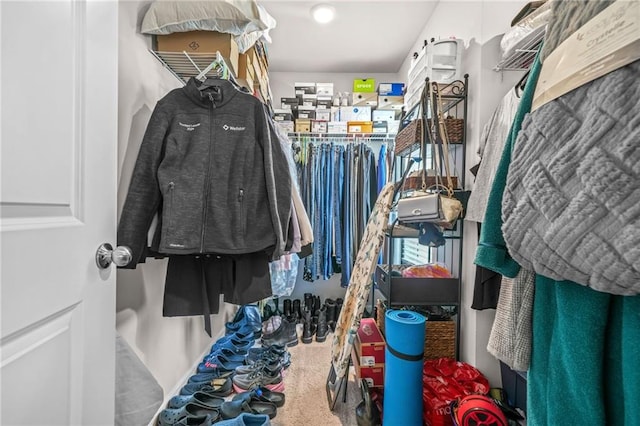 spacious closet featuring carpet
