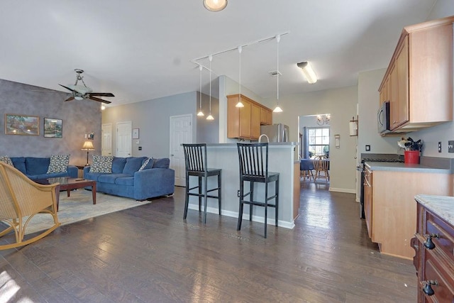 kitchen with dark wood-type flooring, open floor plan, a breakfast bar, stainless steel appliances, and a ceiling fan