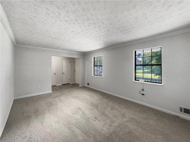 carpeted spare room featuring a textured ceiling, crown molding, and a healthy amount of sunlight