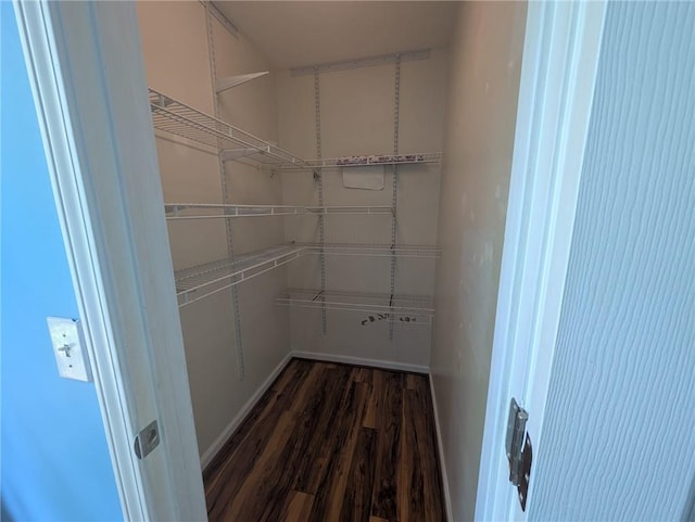 5882 Grandview Ct NW, Acworth, GA 30101 - spacious closet featuring dark wood-style floors