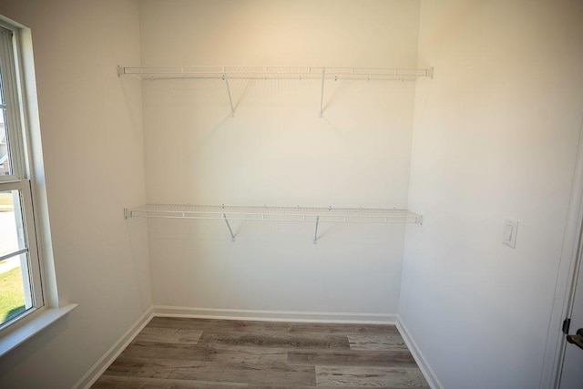 spacious closet with dark wood-type flooring