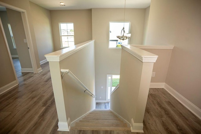 stairs featuring hardwood / wood-style floors and a chandelier