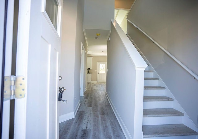 hall with dark hardwood / wood-style floors