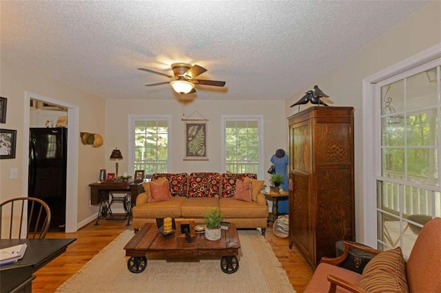 living room featuring hardwood / wood-style flooring, a textured ceiling, and ceiling fan