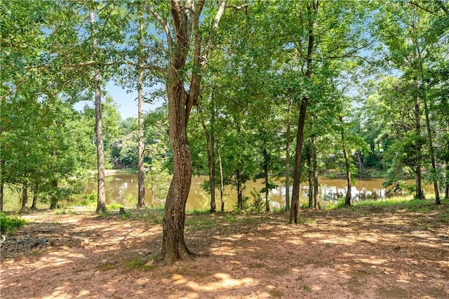 348 Meeler Cir, Bogart, GA 30622 - view of nature