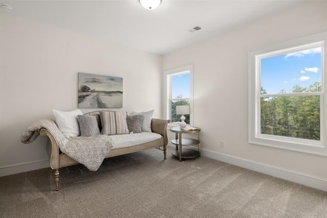 5247 Flannery Chase SW, Powder Springs, GA 30127 - sitting room featuring carpet floors and baseboards