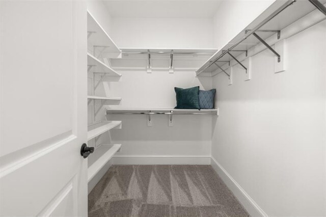 5247 Flannery Chase SW, Powder Springs, GA 30127 - walk in closet featuring carpet floors
