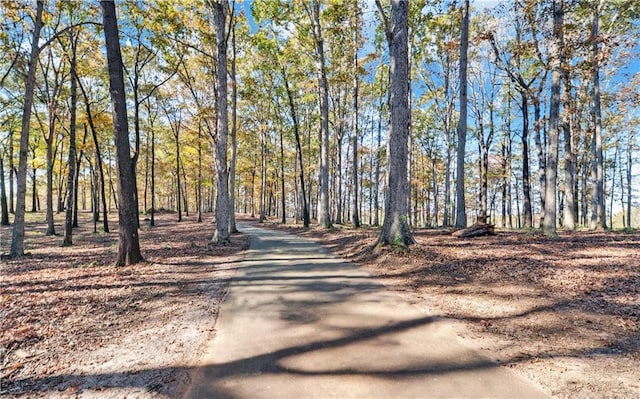 Listing photo 3 for 394 Wheeler Creek Rd, Maysville GA 30558