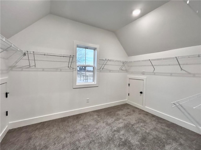 walk in closet featuring lofted ceiling and dark colored carpet