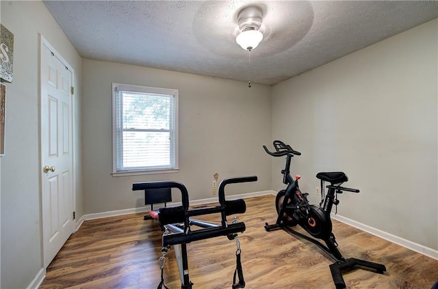 36 Skyview Cir, Cartersville, GA 30120 - workout room with wood finished floors, a textured ceiling, and baseboards