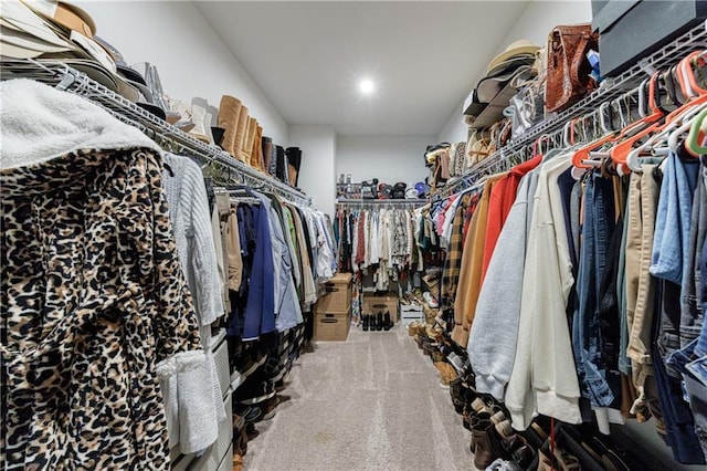 walk in closet featuring carpet floors