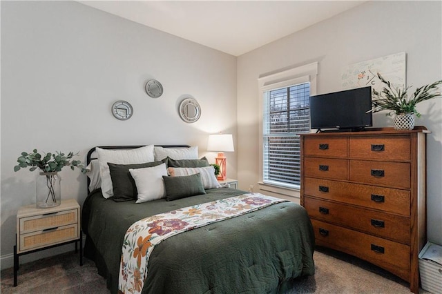 bedroom featuring carpet flooring