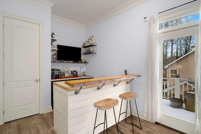 bar featuring sink, wood-type flooring, wooden counters, and crown molding