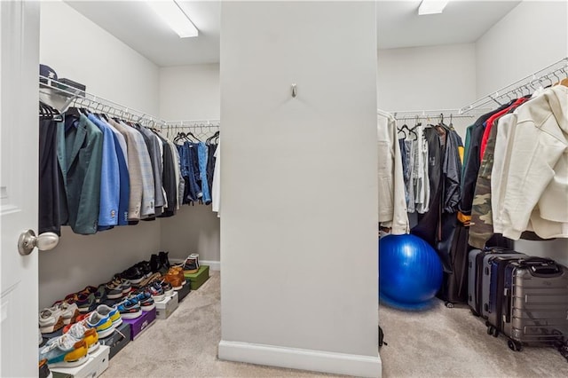 4050 Danbury Farms Dr, Cumming, GA 30040 - spacious closet with carpet flooring