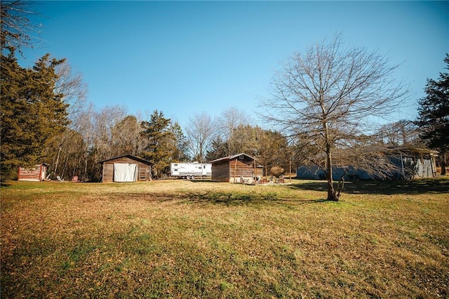 view of yard with a storage unit