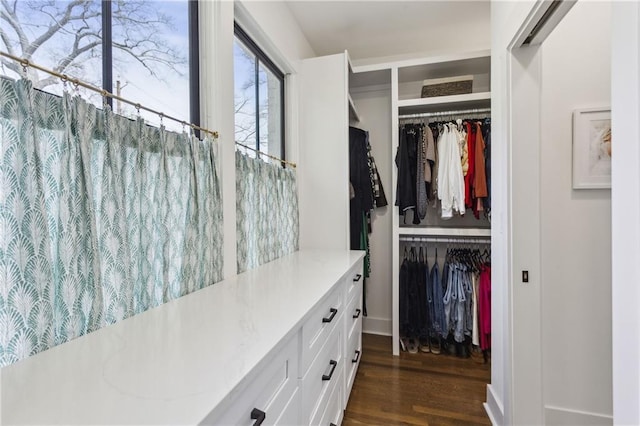 walk in closet featuring dark wood-style flooring