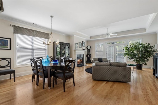 dining room featuring ceiling fan with notable chandelier, plenty of natural light, a raised ceiling, and light hardwood / wood-style flooring