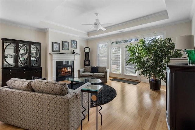 living room featuring light hardwood / wood-style floors, a raised ceiling, and ceiling fan