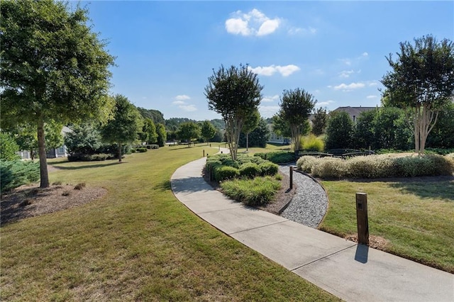 view of front of house with a front lawn and covered porch