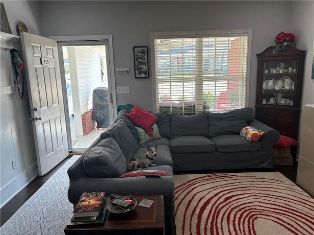 living room with wood-type flooring