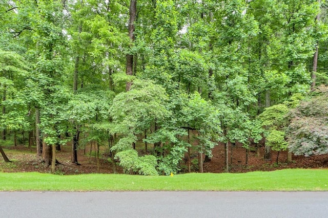 LOT3B Squire Ln, Cumming, GA 30041