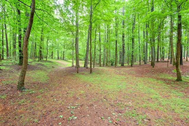 LOT3B Squire Ln, Cumming, GA 30041
