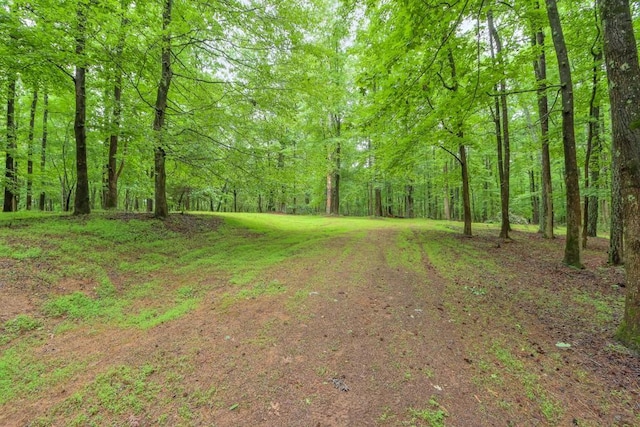 LOT3B Squire Ln, Cumming, GA 30041