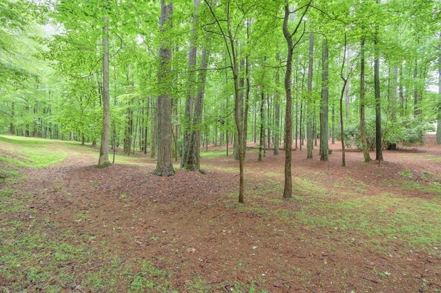 LOT3B Squire Ln, Cumming, GA 30041