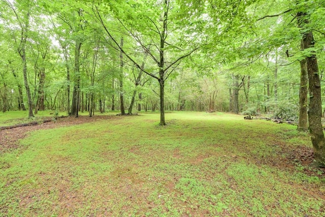 LOT3B Squire Ln, Cumming, GA 30041