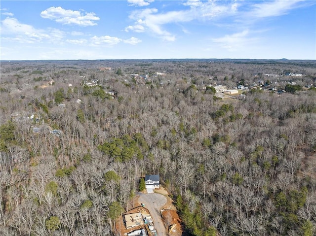 bird's eye view with a forest view