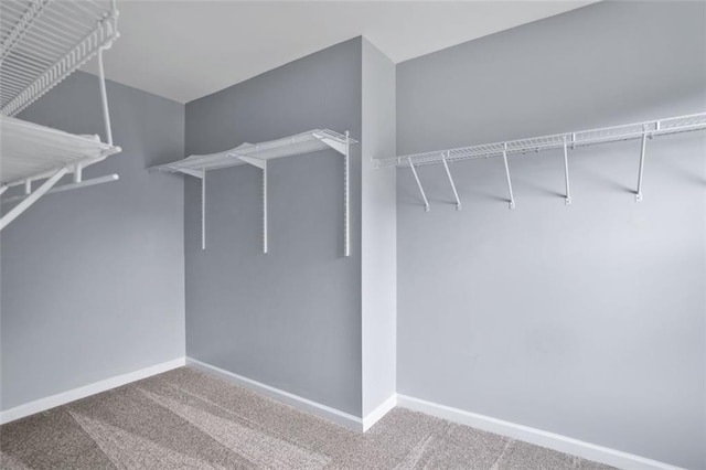2316 Fripp Overlook NW, Acworth, GA 30101 - spacious closet featuring carpet flooring