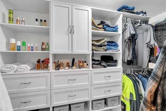 view of walk in closet